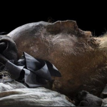 Odnaleziono grób Pierwszego Papieża? Przy szczątkach były szokujące dokumenty, które mogą zmienić swiat (Nagranie)