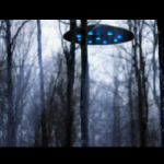 Las w Polsce, gdzie dzieją się dziwne rzeczy! Czy wylądowało tam UFO? (NAGRANIE)