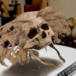 Odnaleziono czaszki przerażających hybryd ludzi ze zwierzętami!