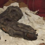 Ogromny palec znaleziony w Egipcie? Biblijni Giganci istnieli?
