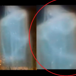 Polacy Nagrywają Objawienie Maryi – CUD? (NAGRANIE)