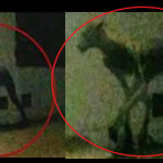 Przerażające dźwięki nagrane w lesie szokują! Nikt nie wie skąd pochodzą…