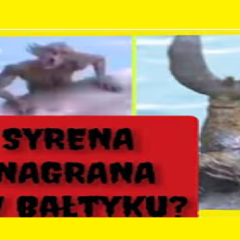 Syrena nagrana w Bałtyku – Tajemnicza istota zamieszkuje Morze Bałtyckie?