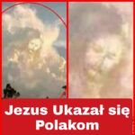 Niepokojące zdarzenia na planie serialu ALF! Aktorzy ujawnili szokującą prawdę! (NAGRANIE)