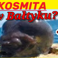 ClAŁ0 Kosmity Odkryte nad Bałtykiem (NAGRANIE)