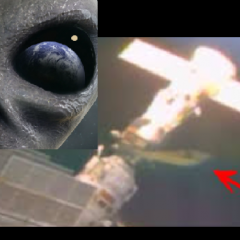 Co naprawdę żyje w Kosmosie? Na nagraniu NASA pojawiło się coś dziwnego…