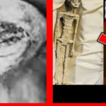 Amerykański 0FICER Ujawnia – Obcy Jedzą… (NAGRANIE)