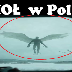 Anioł Nagrany w Polsce? (NAGRANIE)