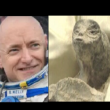 Pracownik NASA w telewizji na Żywo – Ludzie Nie Pochodzą z Ziemi (NAGRANIE)