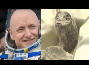 Pracownik NASA w telewizji na Żywo – Ludzie Nie Pochodzą z Ziemi (NAGRANIE)