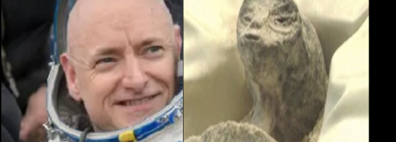 Pracownik NASA w telewizji na Żywo – Ludzie Nie Pochodzą z Ziemi (NAGRANIE)