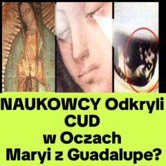 Czy ten Obraz Namalowała MARYJA? Naukowcy Go ZBADALI i Odkryli…(NAGRANIE)